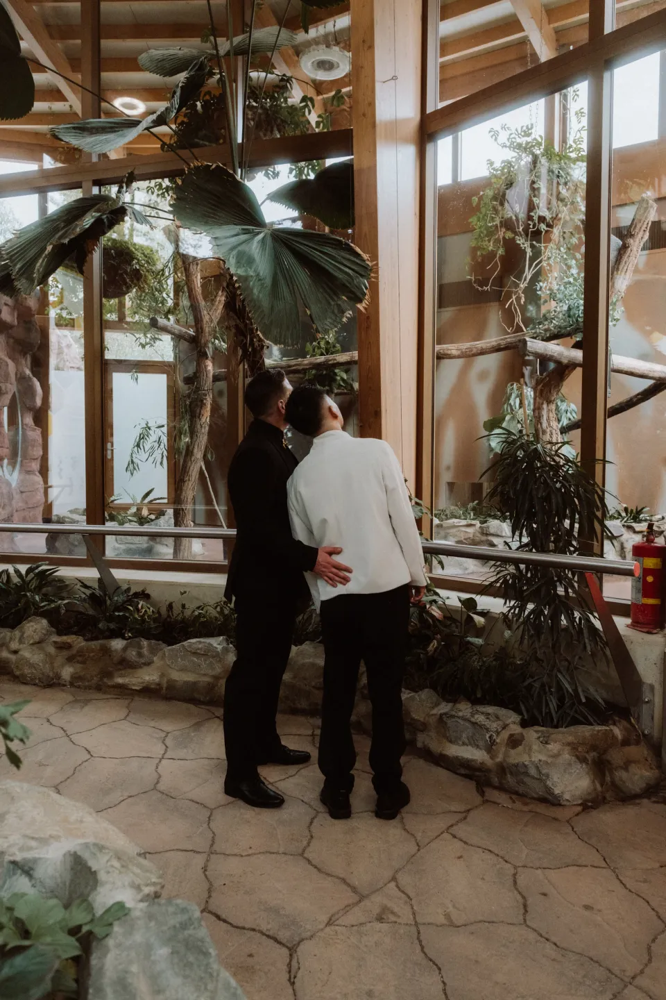 Ricky and Kees together looking at the koalas.