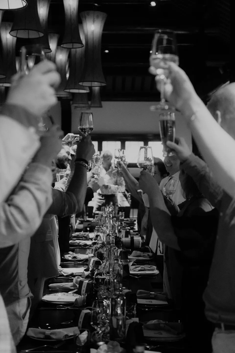 Guests raising their glasses in a toast over the dinner table.